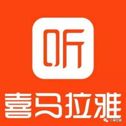 这个盛夏，带你认识三福家的新成员——数字文化